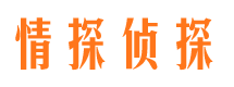 昌都市调查公司